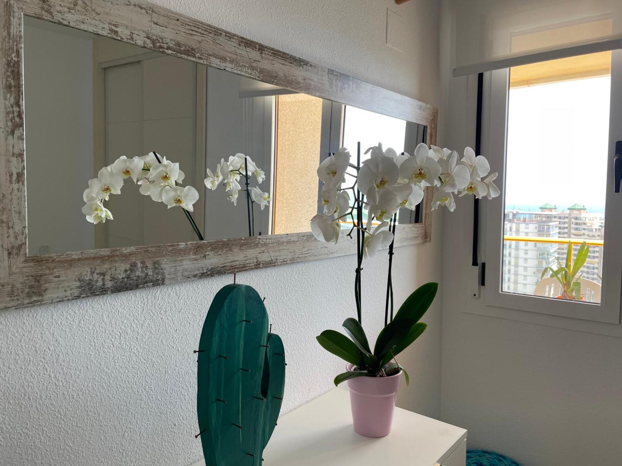 Apto One More Day In Ambar Calp Exterior foto